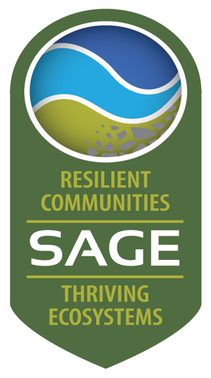 Systems Approach to Geomorphic Engineering (SAGE)